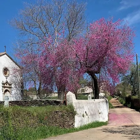 Casa Situada En Un Entorno Natural La Serena 트루히요